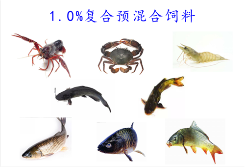 1.0%魚(yú)用復(fù)合預(yù)混合飼料