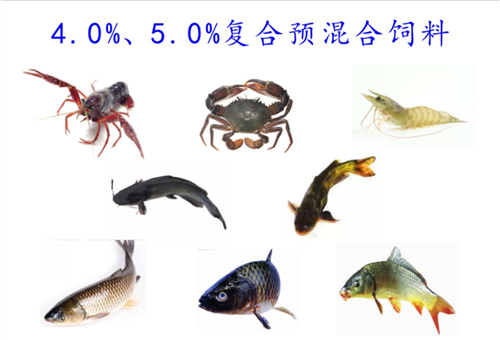 4.0%、5.0%魚(yú)用復(fù)合預(yù)混料